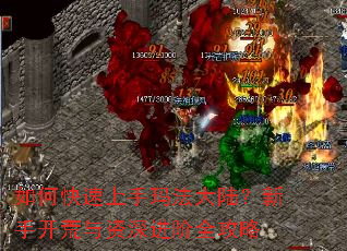 如何快速上手玛法大陆？新手开荒与资深进阶全攻略