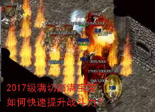 2017�����и���������ο�������ս������