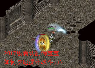 2017�����и���������ο�������ս������