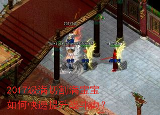 2017�����и���������ο�������ս������