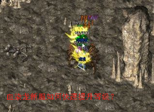 ѪȾ���·���ο��������ȼ���