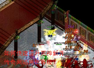 ��ο������������¿�������վ��ɫ�ȼ���