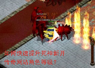 ��ο������������¿�������վ��ɫ�ȼ���