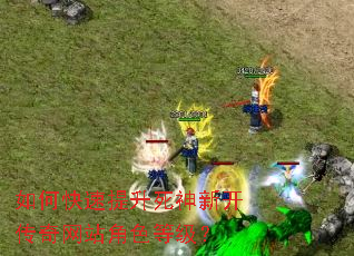 ��ο������������¿�������վ��ɫ�ȼ���