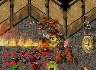 ��ο����������⴫����Ϸ��ɫ�ȼ���