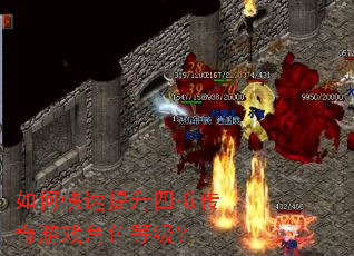 ��ο����������⴫����Ϸ��ɫ�ȼ���