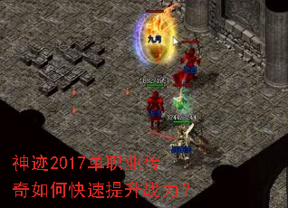 ��2017��ְҵ������ο�������ս����