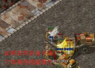 ��λ������������������Щ�������ԣ�