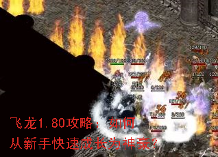 ����1.80���ԣ���δ����ֿ��ٳɳ�Ϊ�����