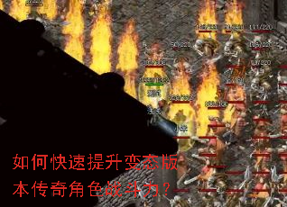 ��ο���������̬�汾�����ɫս������
