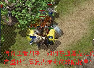 �������߹����������������֮�б�̬ʢ���񱩸��Ŵ���Ĺ����ص䣿