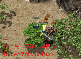 ̤����Ѫ��;�����ѡ�񶥼������·�ƽ̨��