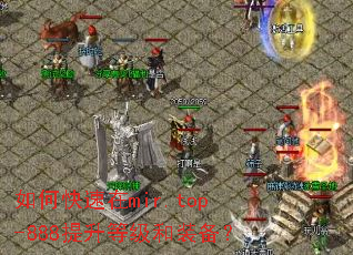 ��ο�����mir.top-888�����ȼ���װ����