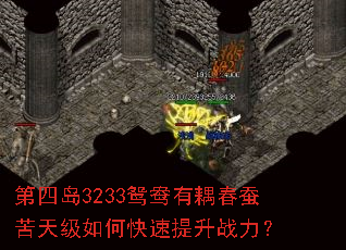 ���ĵ�3233ԧ������Ͽ��켶��ο�������ս����