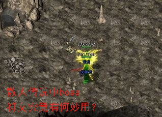 ɢ�˴�˵��boss���ľ����к����ã�