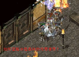 ���������ѩɭ�ֵĴ������磿