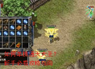 ��ε���ͨ���ʥ�����ֱؿ�����ָ��