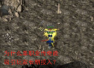 Ϊʲô��ְҵ������������ҳ���Ͷ�룿