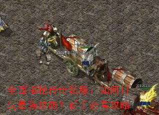 ȫ����ش���˽������δ�����ǿ���������ֱؿ�����