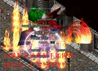 ��ְҵ����������ο�������������׬Ǯ��