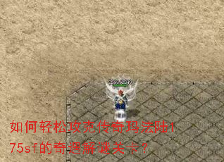 ������ɹ��˴����귨½175sf���������չؿ���