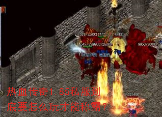 ��Ѫ����1.85˽������Ҫ��ô����ܳưԣ�