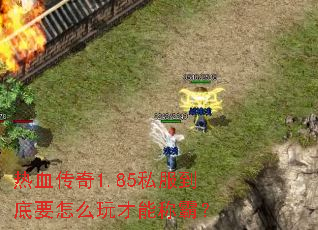 ��Ѫ����1.85˽������Ҫ��ô����ܳưԣ�