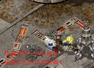 ��Ѫ����1.85˽������Ҫ��ô����ܳưԣ�