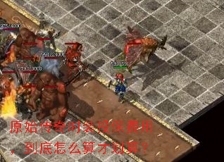 ԭʼ����ʱװͶ�����ã�������ô��Ż��㣿