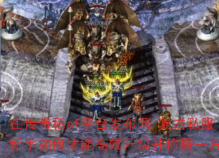 �ڴ���˽sfƽ̨������,����˽��������β��ܸ�Ч�������ư�һ����