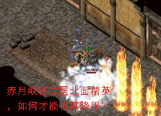 ����Ͽ�ȶ��㱱�澫Ӣ����β��ܽ��併����