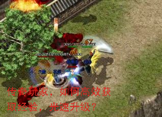 ������ң���θ�Ч��ȡ���飬����������