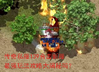 传奇私服139合击新服最强玩法攻略大揭秘吗? 传奇私服139合击新服最强玩法攻略大揭秘吗?