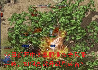 今日新开中变单职业传奇私服手游,如何高效升级刷装备? 今日新开中变单职业传奇私服手游,如何高效升级刷装备?