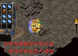 �����ѳ��δ���˽������ǿ�������Ŵ����