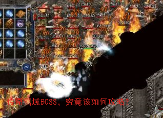 ����ѩ��BOSS����������ι��ԣ�