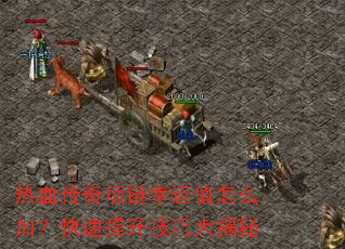 ��Ѫ������������ֵ��ô�ӣ������������ɴ����