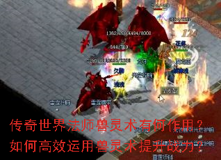 �������編ʦ�������к����ã���θ�Ч��������������ս����