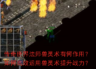 �������編ʦ�������к����ã���θ�Ч��������������ս����