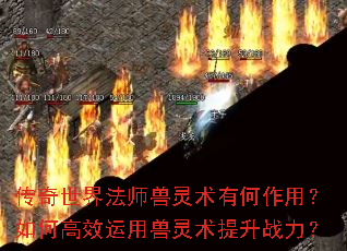 �������編ʦ�������к����ã���θ�Ч��������������ս����