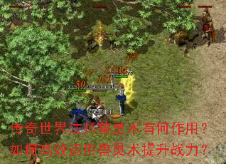 �������編ʦ�������к����ã���θ�Ч��������������ս����