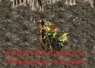 �����������θ��Ű湥�Դ�ȫ��������Щ��֪�����볣�����⣿