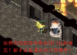 ��θ�Ч̽����������Ŵ����Թ������ֱر�ͨ�ؼ�������Щ��