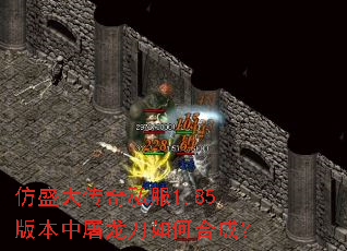 ��ʢ����˽��1.85�汾����������κϳɣ�