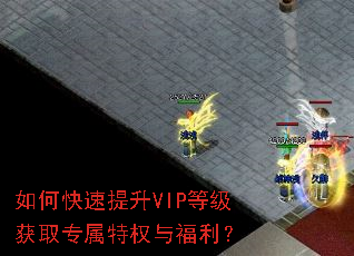 ��ο�������VIP�ȼ���ȡר����Ȩ�븣����