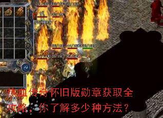 ��Ѫ���滳�ɰ�ѫ�»�ȡȫ���ԣ����˽�����ַ�����