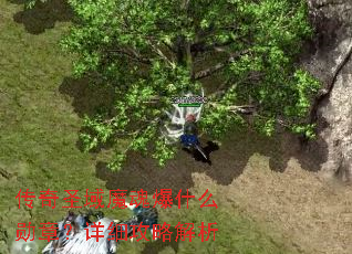 传奇圣域魔魂爆什么勋章?详细攻略解析 传奇圣域魔魂爆什么勋章?详细攻略解析