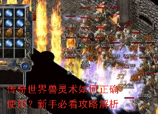 �������������������ȷʹ�ã����ֱؿ����Խ���