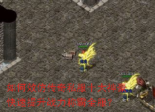 如何效仿传奇私服十大神豪快速提升战力称霸全服? 如何效仿传奇私服十大神豪快速提升战力称霸全服?