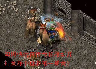 如何快速在传奇私服新开打金服中赚取第一桶金? 如何快速在传奇私服新开打金服中赚取第一桶金?